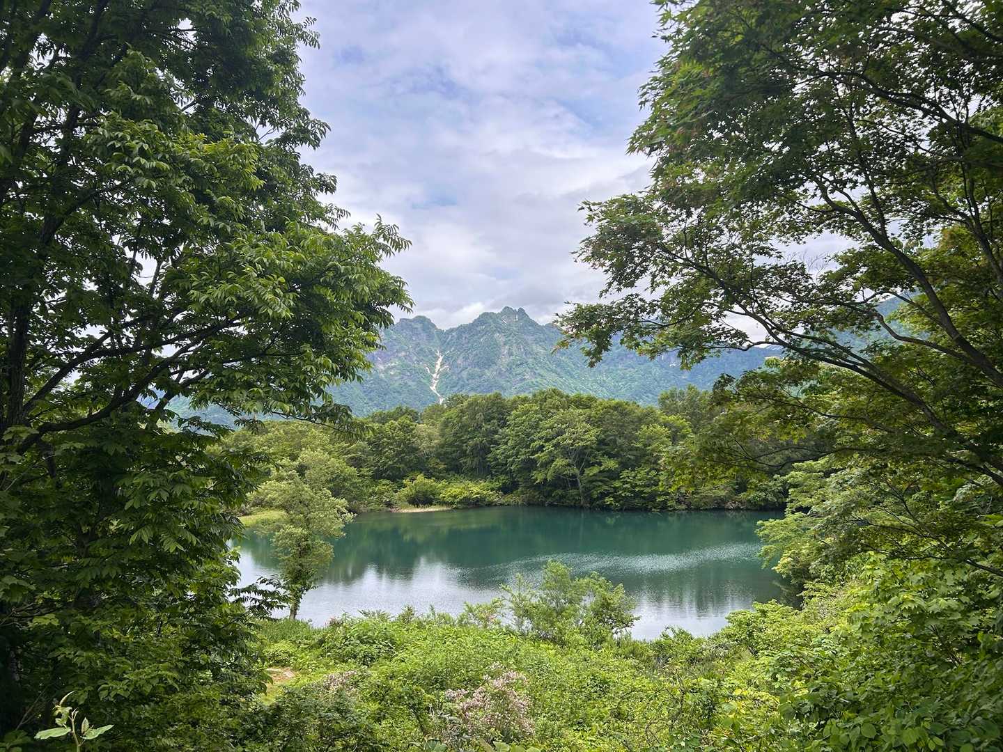 戸倉山 往復コースの写真
