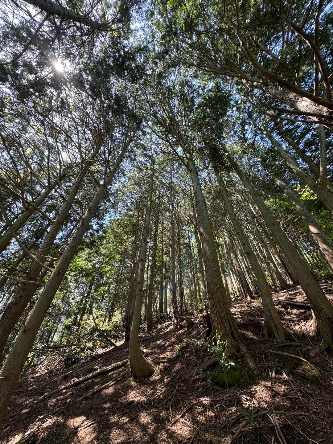裏山-笙ヶ岳 周回コースの写真