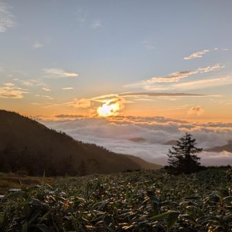 5時過ぎ、外が明るい！と思って小屋を飛び出すと、ちょうど朝日が雲海から顔を出したところ。快晴だ！