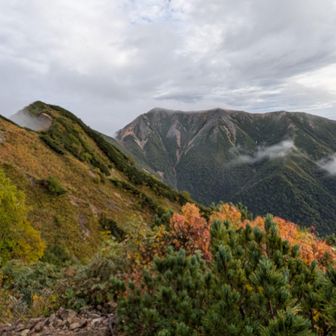 山は紅葉が始まっています🍁