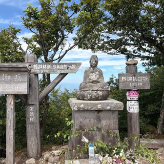 ありがとうございます