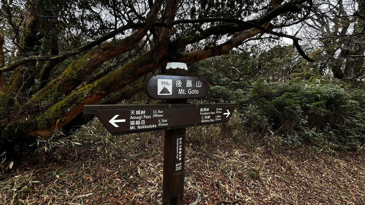 伊豆山陵線トレイル（三蓋山・水呑頭・猫越岳・後藤山・魂の山・棚場山・伽藍山・古稀山・達磨山・小達磨山） の写真 33