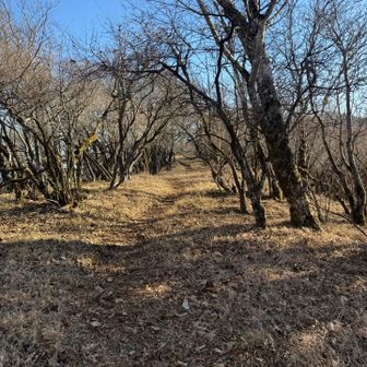 加入道山から前大室