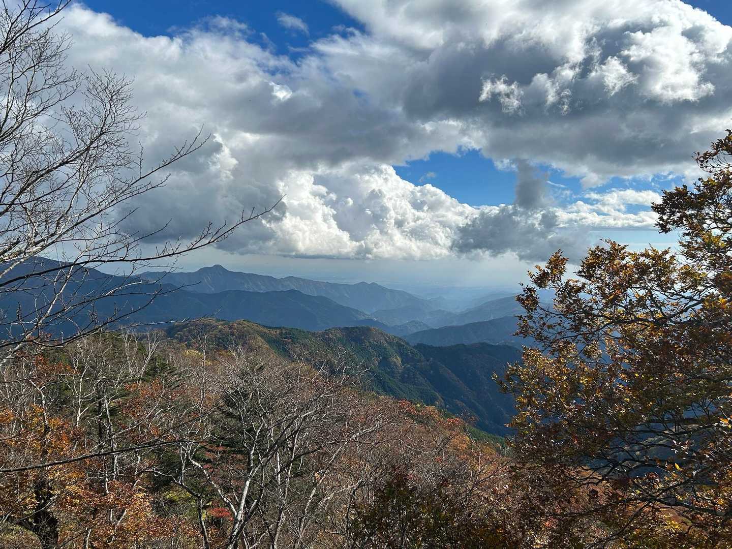 森林館-大滝休憩小屋-ムシカリ峠-三頭山-三頭山-三頭山- 周回コースの写真