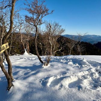 【閲覧注意】
次は高濃度のはしゃぐおじさん写真です

オエツや動悸を感じたらただちに閲覧を中止し
かわいい子ネコの写真などで解毒してください
