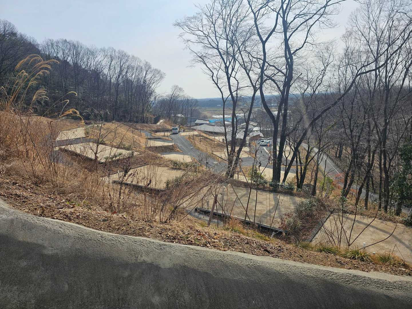 もしかして❓オートキャンプ場作ってる⁉️絶対来る🏕️