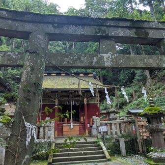 日本三大東照宮📒
これでコンプリートだぞ

①日光東照宮
②久能山東照宮
③鳳来山東照宮