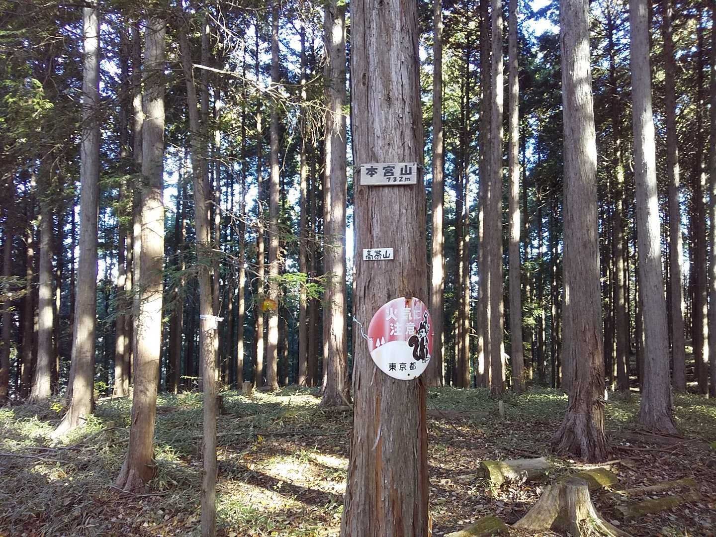 本宮山頂上
別名高茶山とも