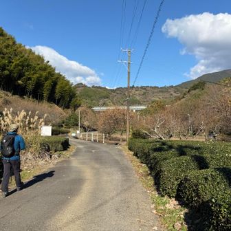 降りて来ました