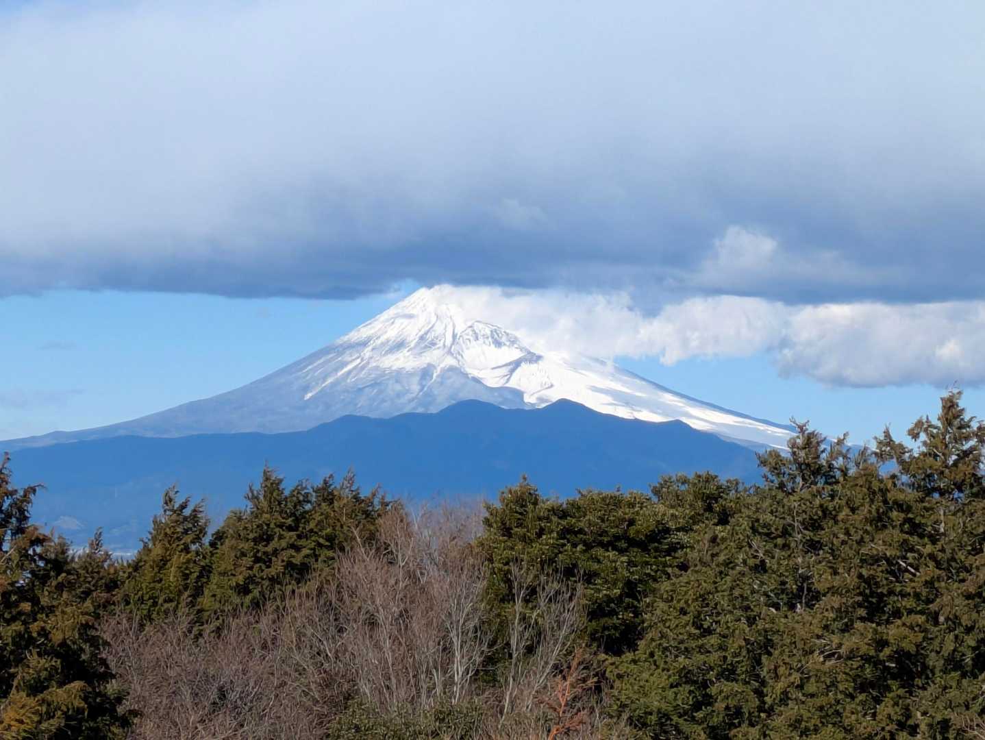 大仁駅-城山-葛城山-発端丈山 縦走コースの写真