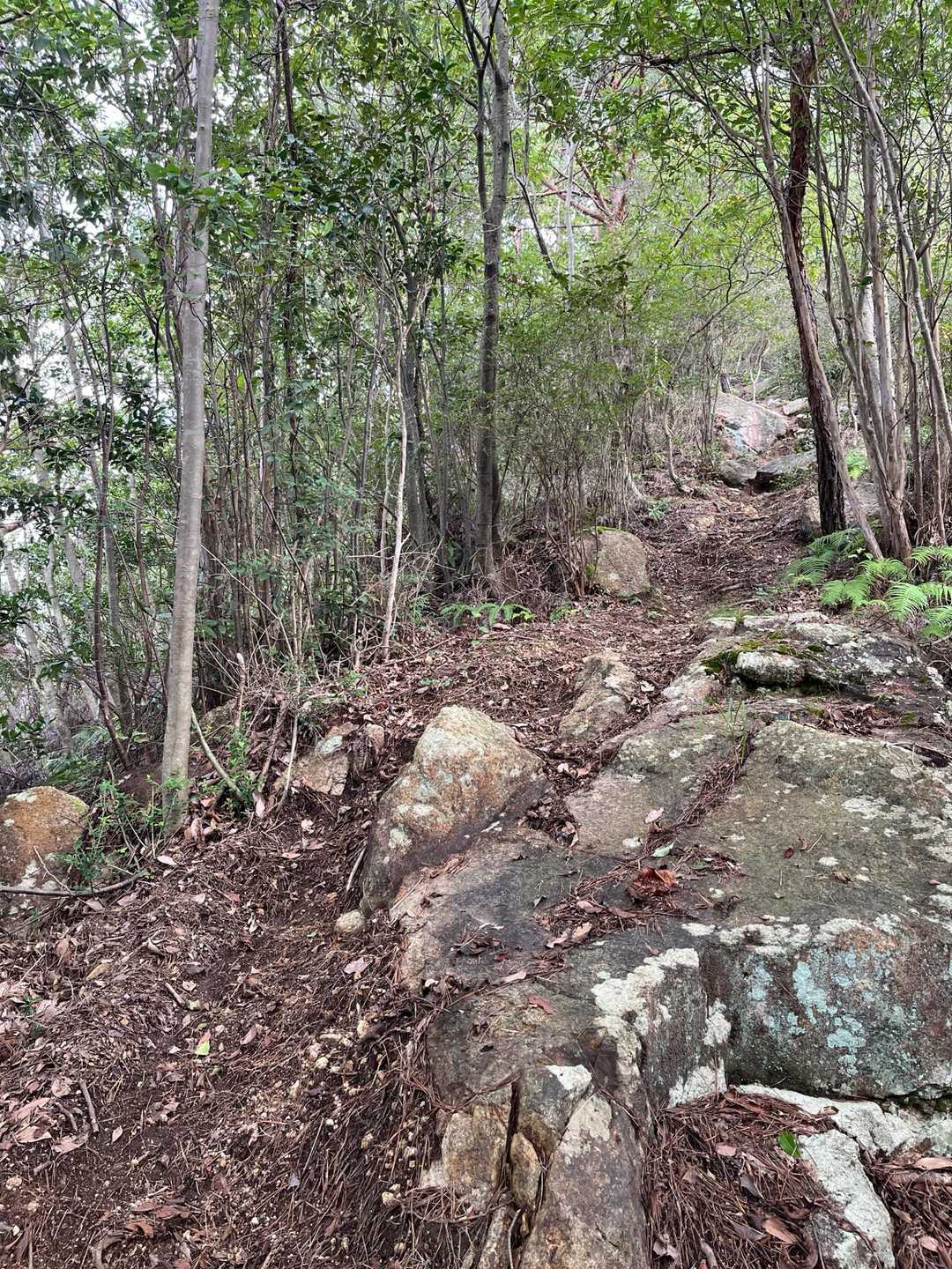 久しぶりにピークハント⛰️

今日は、巨大蜘蛛の巣との格闘🕸️
