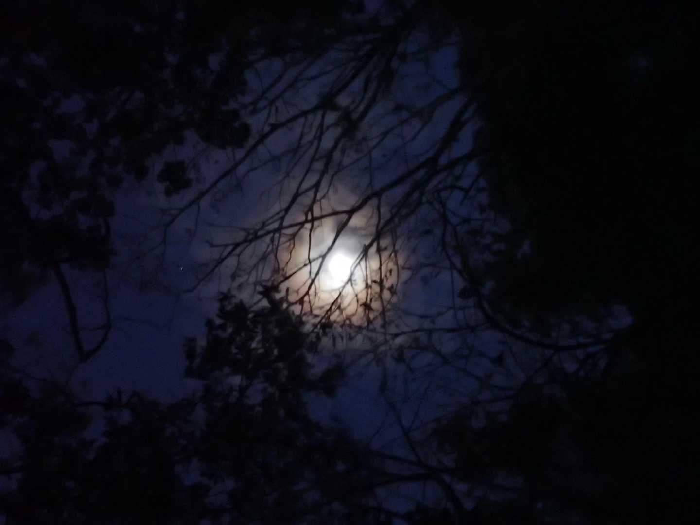 那覇から🚙地道で75㎞、2時間(高速1時間20分)
🌄6:39を目指し、ヘッデン✨つけて出発！
今日は怪しい鳥？の鳴き声なく、いたって静か😮‍💨