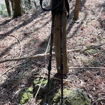 相棒です。助かりました！