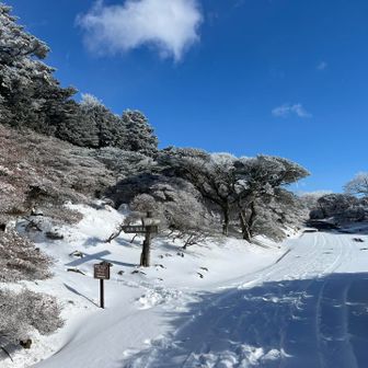 ようやく仁田峠の妙見岳登山口に到着。