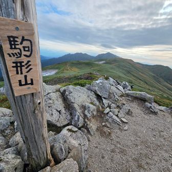 標識が新しくなっていました✨
飯豊山に初めて登った日から、大日杉や御沢から登っても、こまでは歩くようにしています