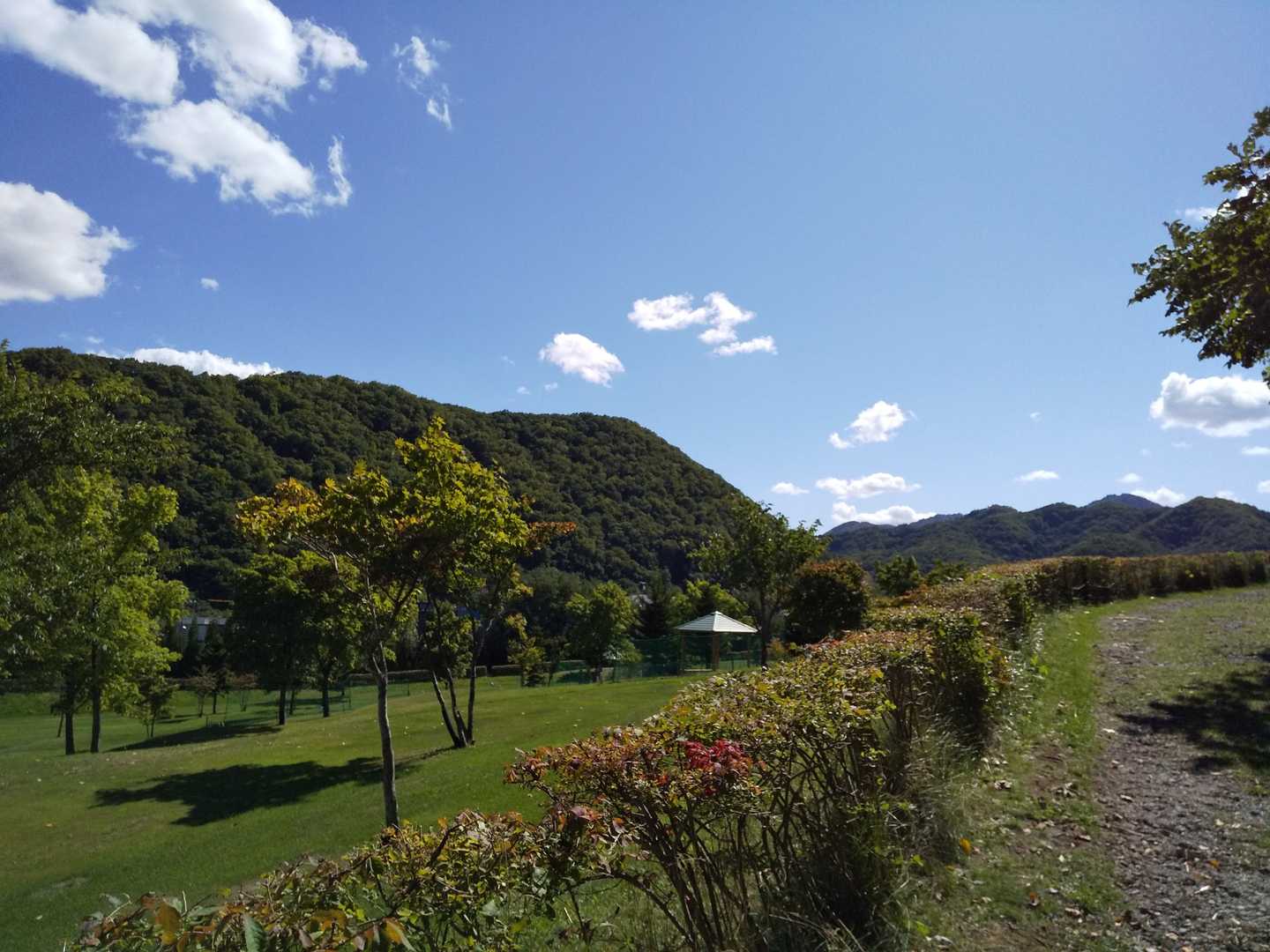 パークゴルフ場⛳に無事脱出！😅