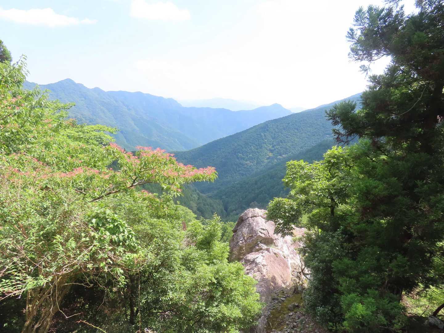 この景色の手前でブヨの大群に囲まれてしまいました。
右手でうちわを左手で笠を振り回しなが走って逃げました。
笠を振り回してる左手に一匹止まったのでうちわで撃退しました。
何とか刺されずに逃れられました。