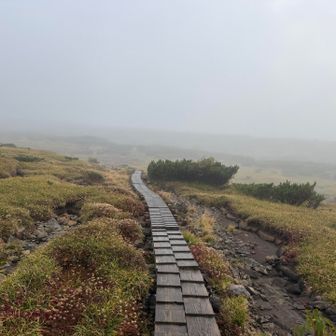 雨は降ってないけど風が強い
ザラ峠まで下ります