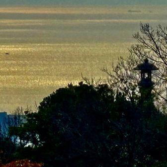 葉が落ちると大灯籠が見えるね！