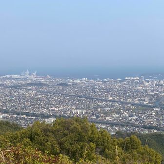 お気に入りの場所 一本松公園