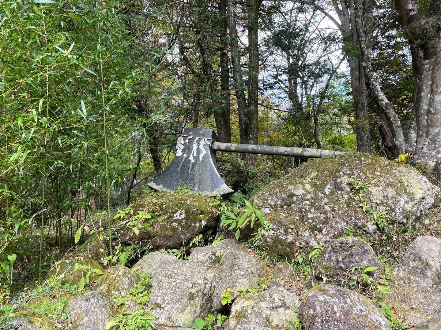 公時神社登山口-金時山-金時山登山口-金時登山口バス停 縦走コースの写真