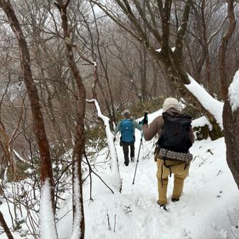 下ってサザエへ