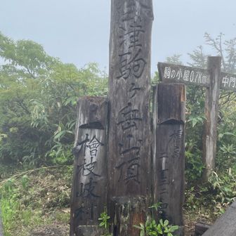 ガスガス