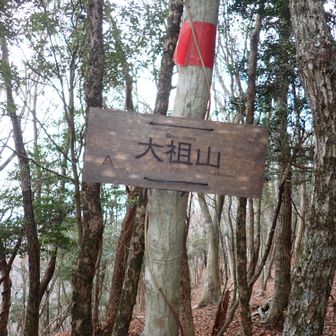 直ぐに山頂！
らるさん標識とSHC標識あり。