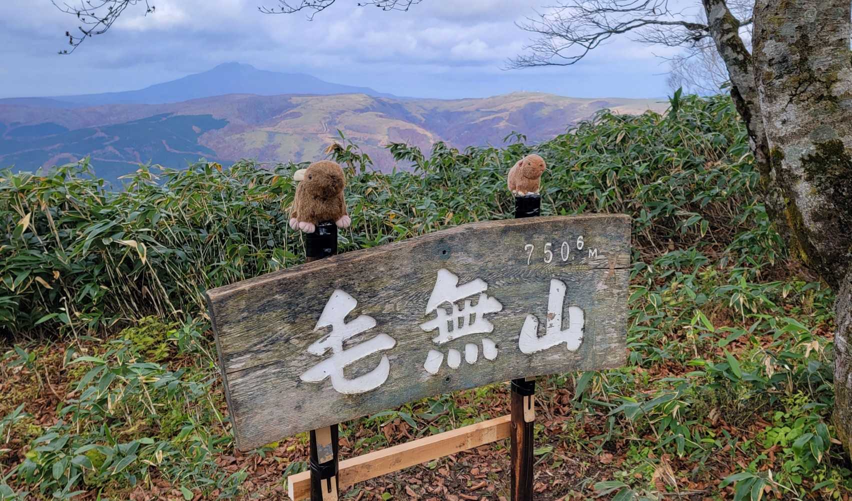 🥁ナツ吉もお疲れ🥁