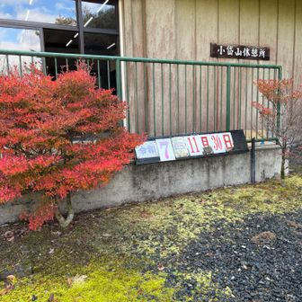 キャンプ場からいつもどうりの出発
今日で11月も終わりやね