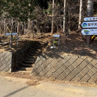堂平山を降りて白石峠。ここからしばらく急登