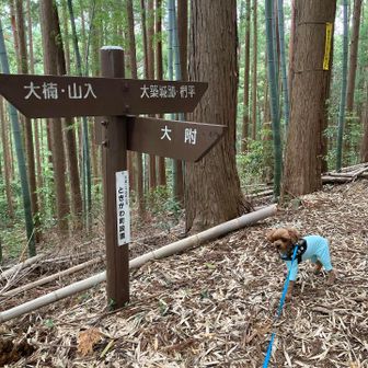 大築城跡へ