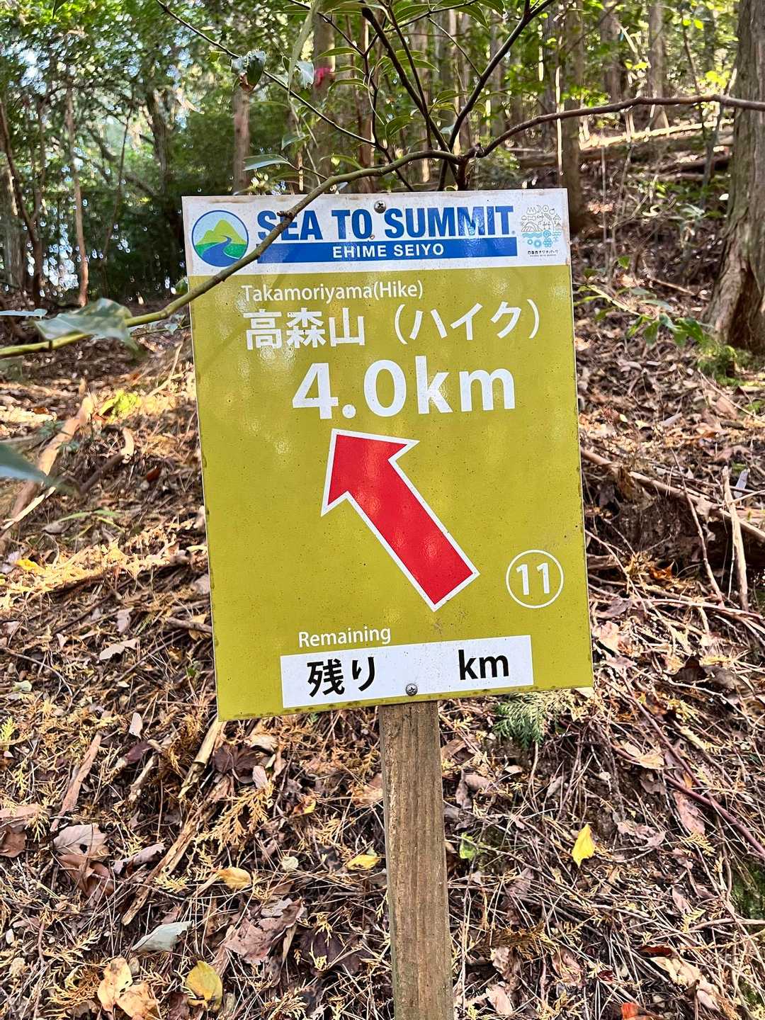 この標識の距離はなんだろう？🤔