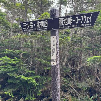 この辺までも大丈夫👌