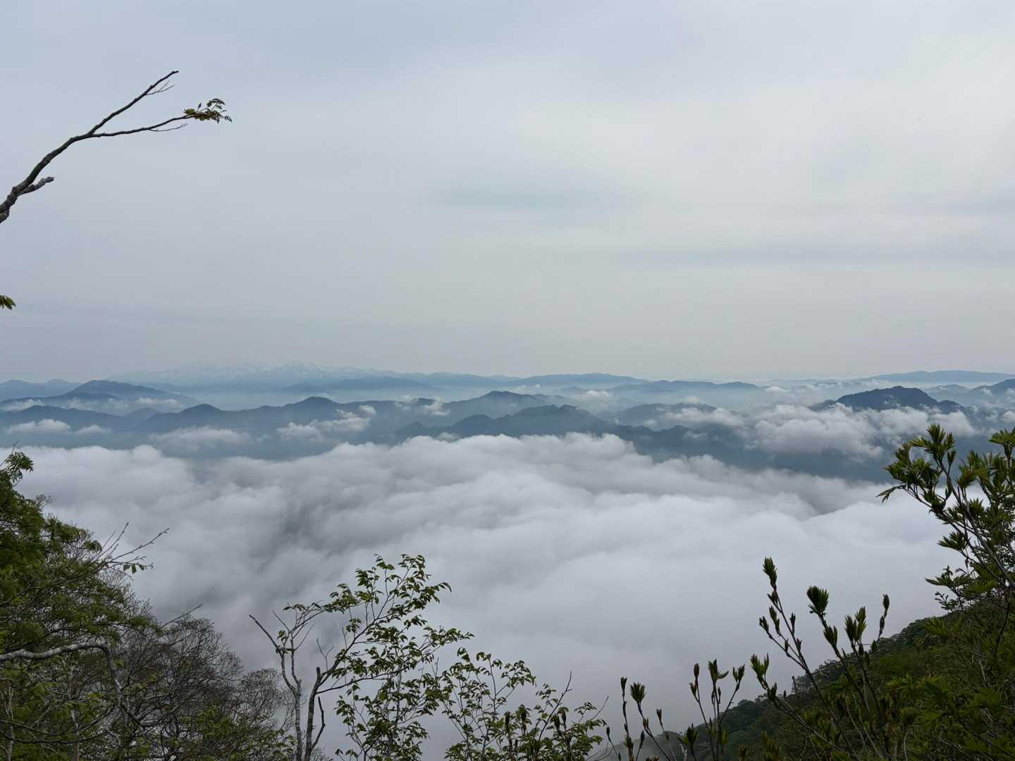 能郷谷登山口-能郷白山-白山神社奥宮神社 往復コースの写真