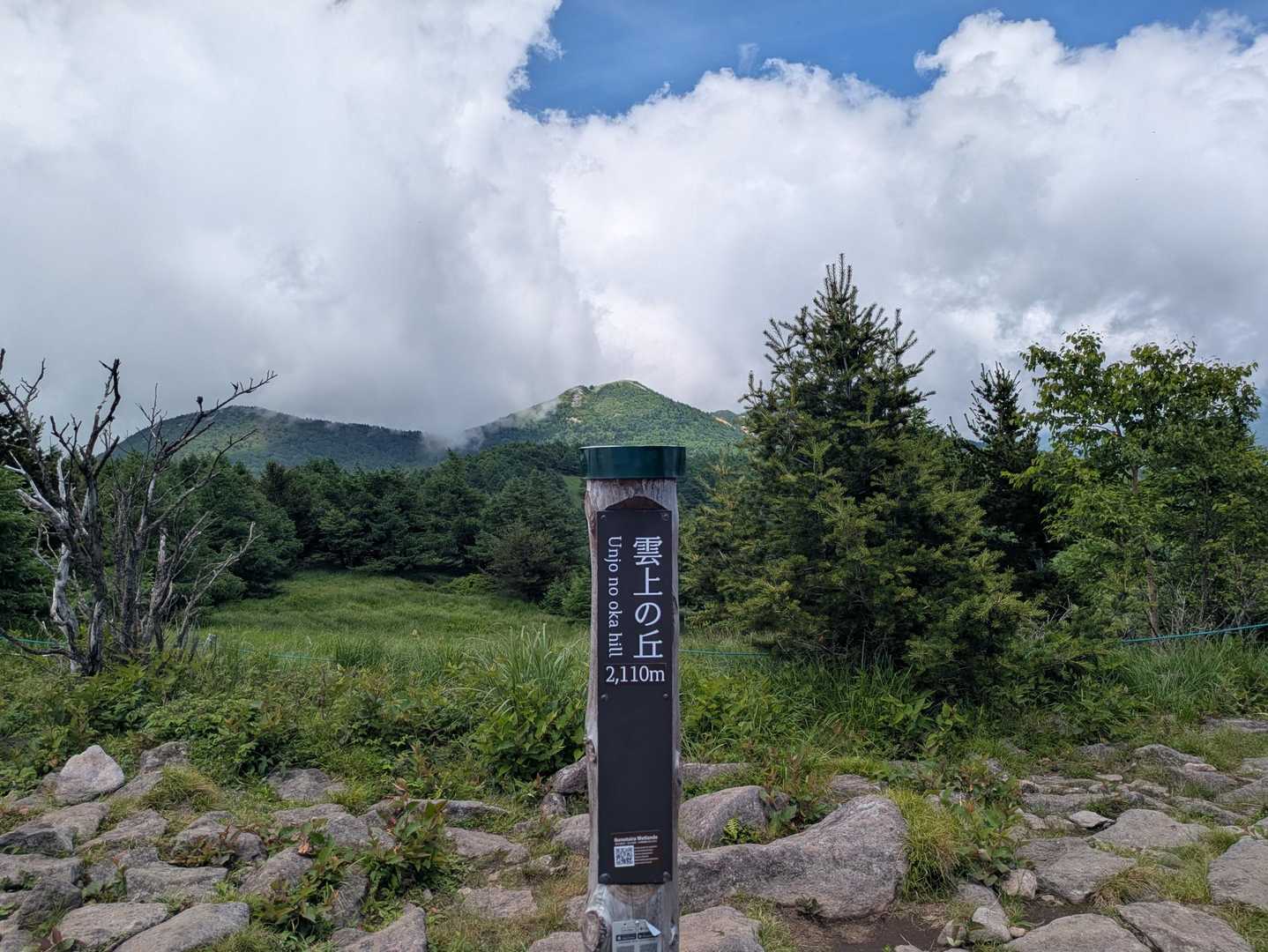 奥にはさっき登った東篭ノ登山が見えます✨