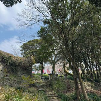 ちょい痛む膝でしたが、なんとか登り終え