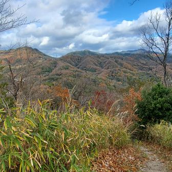 登り切って振り返る、お気に入りの景色🗻