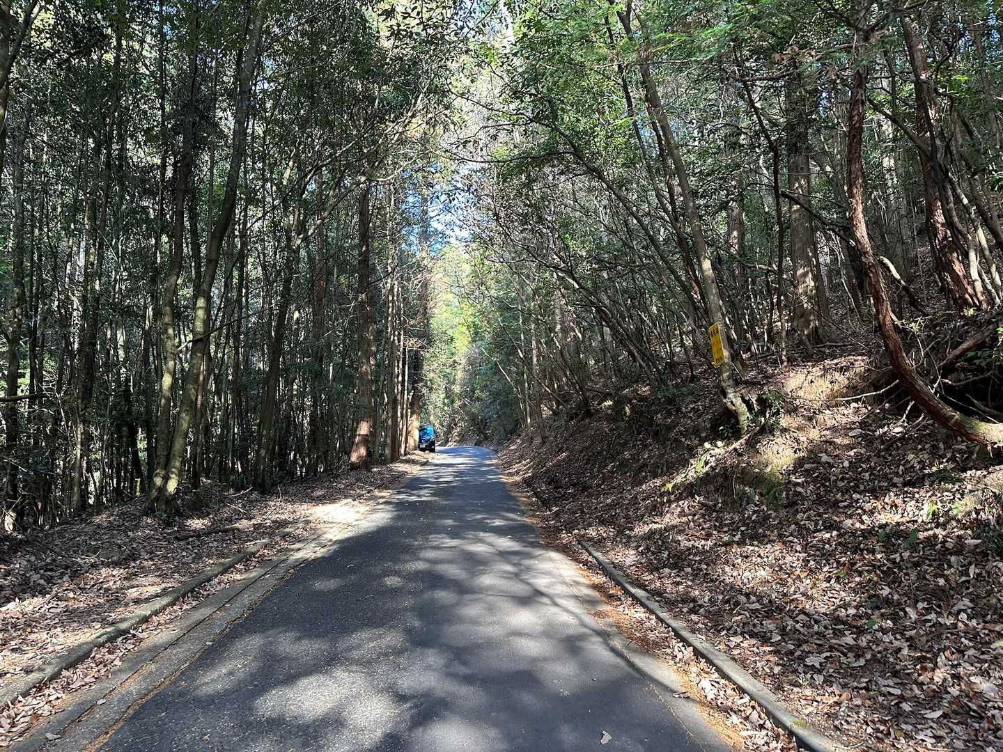 とりあえずスピード出せるところは出す🐒
え！車路駐してる！もっと上に車停めれたか🤔

お山からお戻りのおじいおばあ様方👴👵に元気よくご挨拶させていただきながら、私はこれから山頂に向かいます🤗