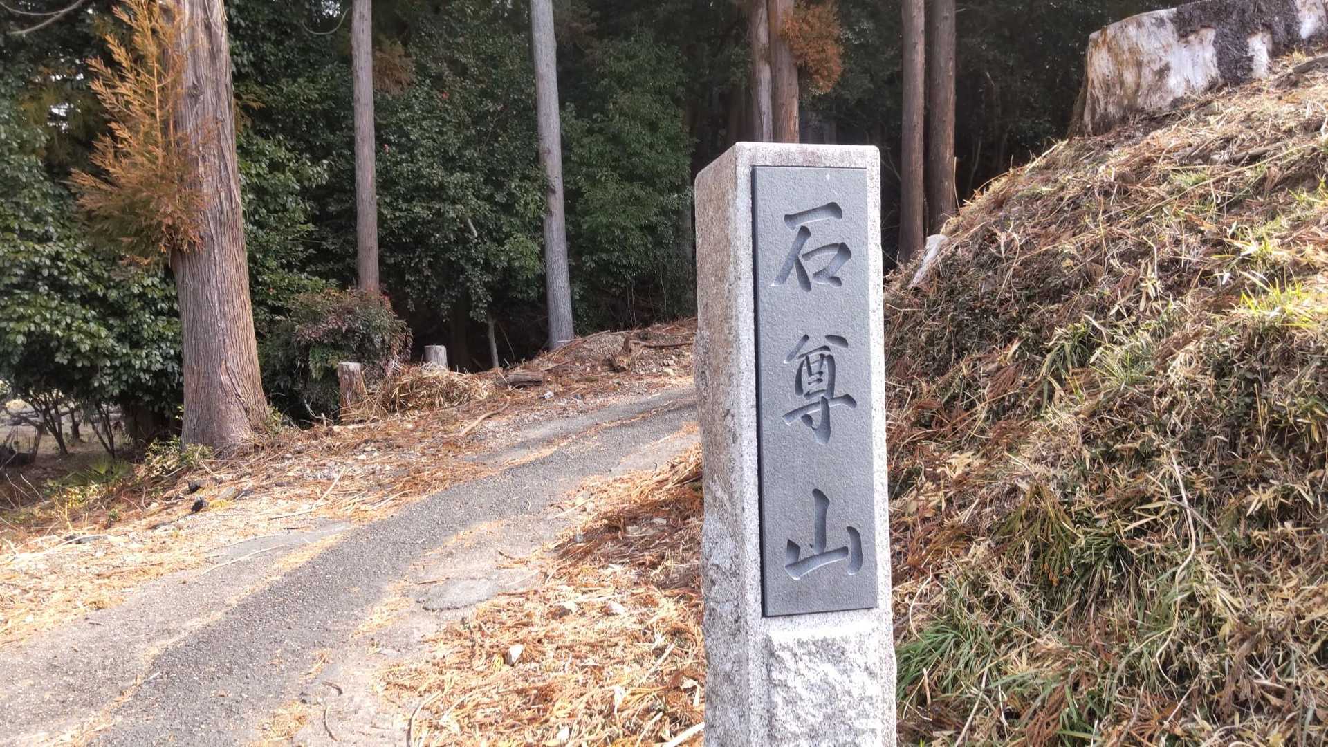 5年ぶりくらいかな？