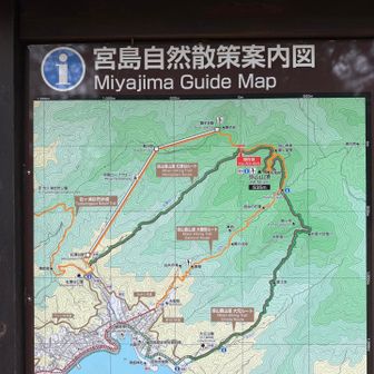 今日は公認の3ルートではなく、包ヶ浦自然歩道から弥山へ🥾⛰️
観光客も少なく、ちょっぴりマニアックなルートを攻めます😆✨
