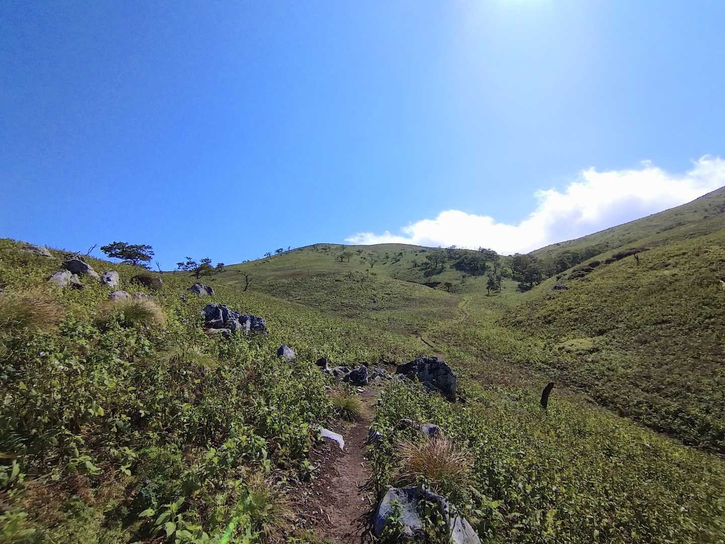 谷側の登山道🚶