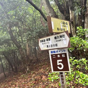 あっと言う間に5号目分岐
お初の滝ケ谷コースへ　