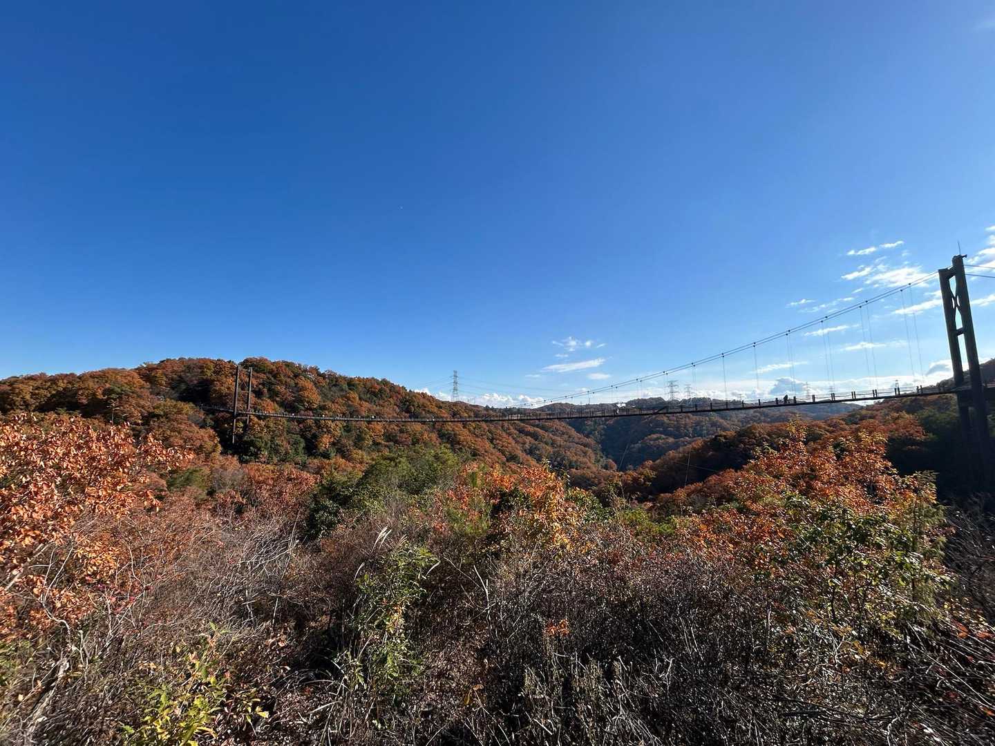 日南山 往復コースの写真