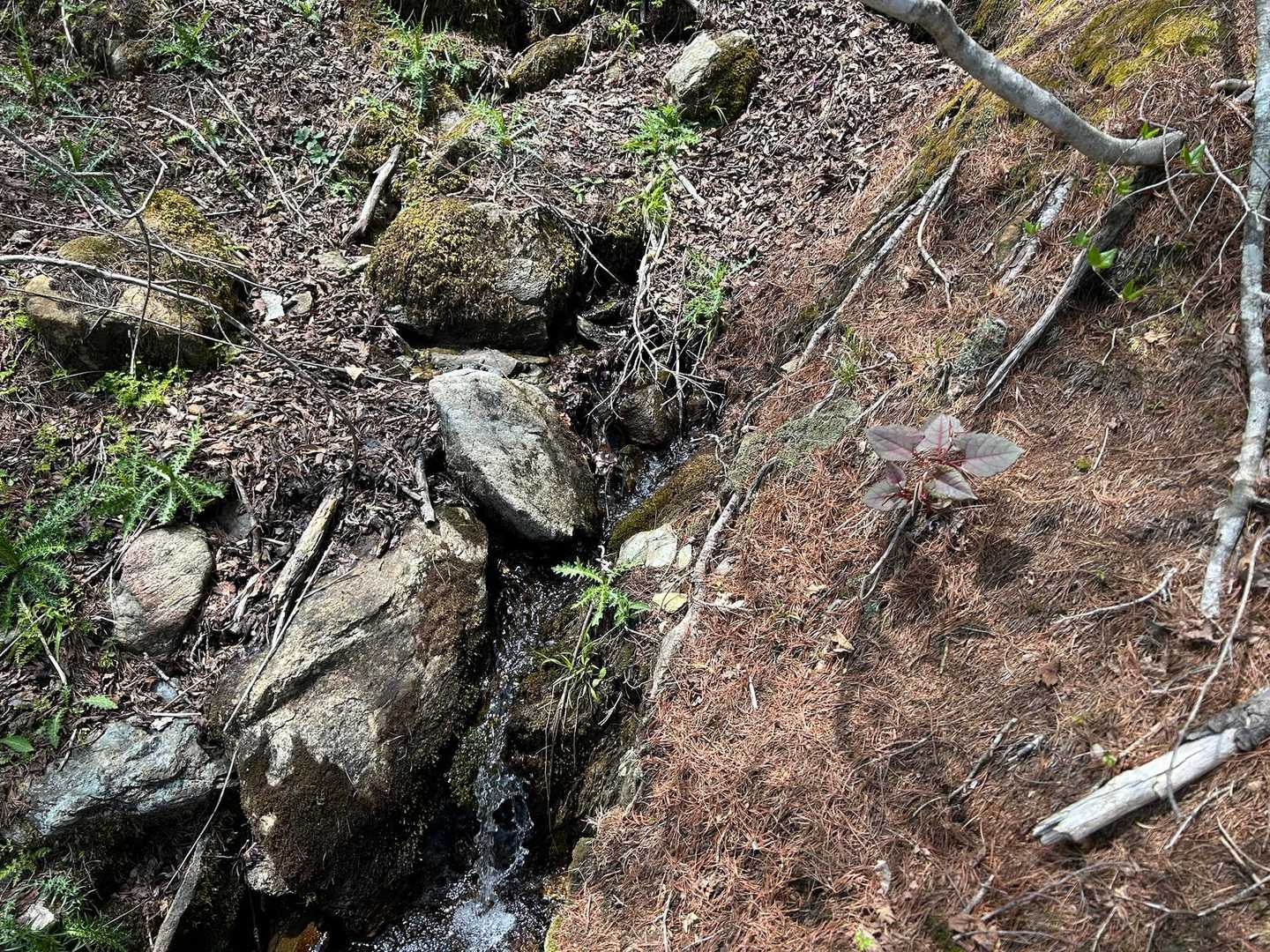 こっから水が流れだしてた。凄い勢いで❗️
