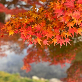 四季のある国に生まれてよかった、と思えた瞬間🇯🇵
