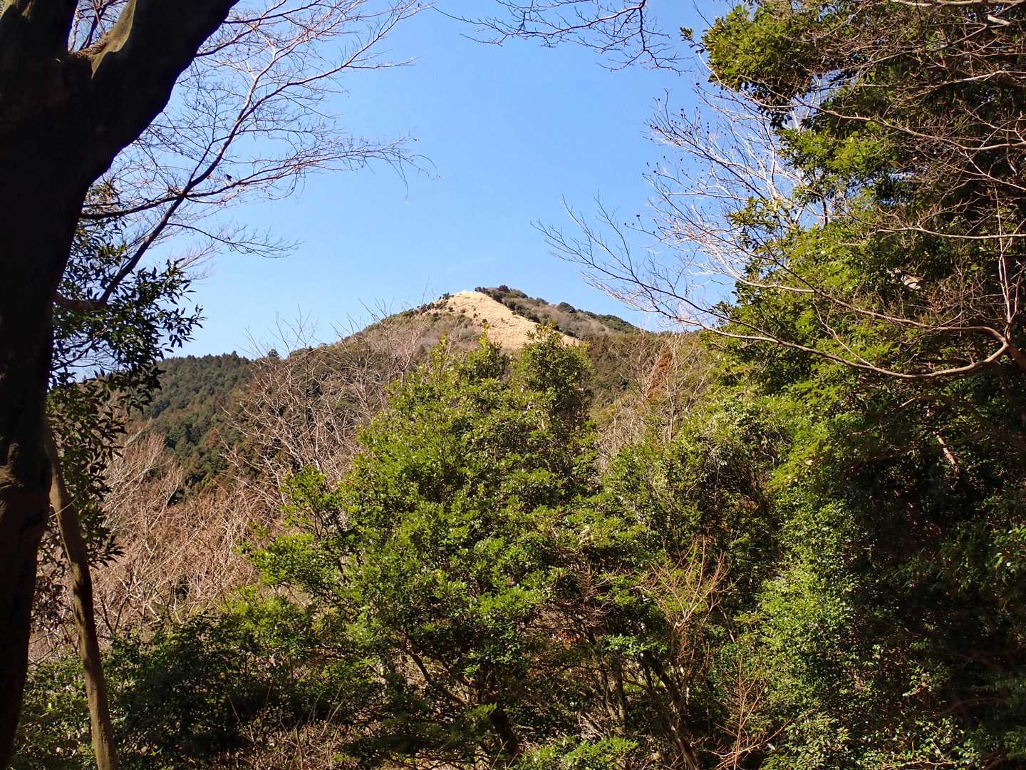 山頂が見えます。今度は鳥居もはっきり見えます。