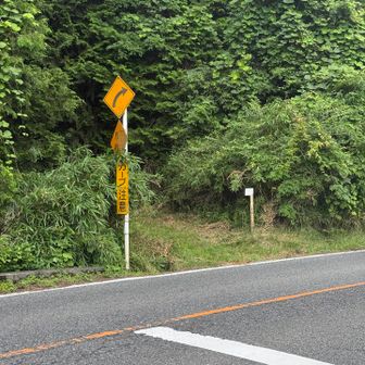 正面奥から出てきました。道路は国道477号