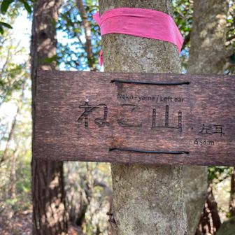 いちばん奥の左耳山頂へ。