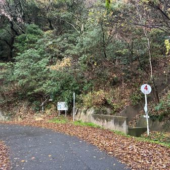 ４番カーブの登山口